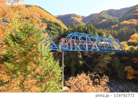 わたらせ渓谷鐵道「橙色に紅葉した第二渡良瀬川橋梁」 119792772