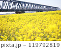 菜の花とひたち号 119792819