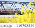 菜の花とひたち号 119792820