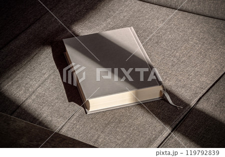 A gray book lies on a textured sofa, softly illuminated by afternoon light A gray book lies on a textured sofa, softly illuminated by afternoon light 119792839