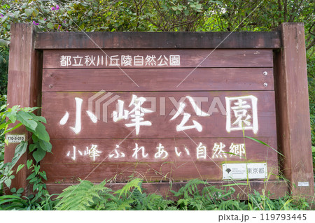 小峰公園(東京都あきる野市) 小峰公園(東京都あきる野市) 119793445