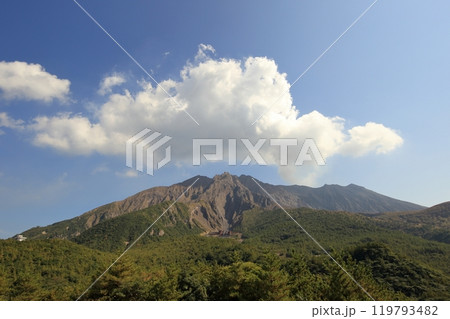 湯之平展望所から望む秋の桜島 北岳 湯之平展望所から望む秋の桜島 北岳 119793482