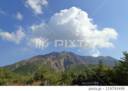 湯之平展望所から望む秋の桜島 北岳 119793490