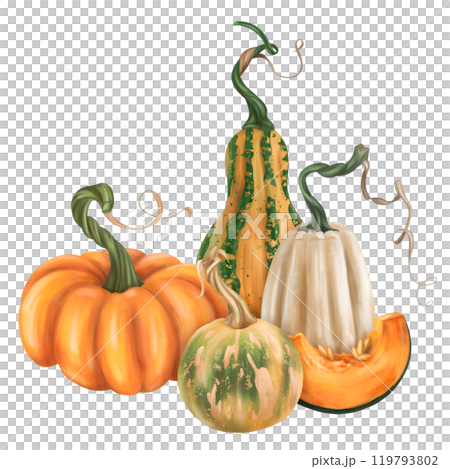Fall composition of ripe pumpkin. Orange, green, yellow, white elements. Fresh farm vegetables, healthy food. Garden plants, agriculture. Isolated illustration. Element of design printing, packaging 119793802