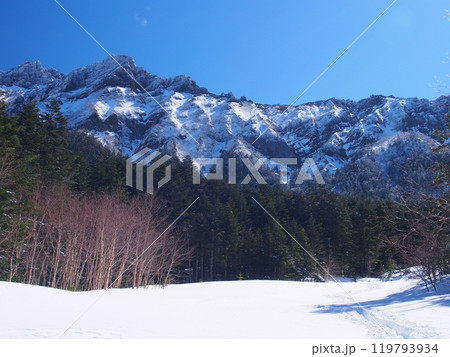 冬の八ヶ岳・南沢登山道から望む横岳 冬の八ヶ岳・南沢登山道から望む横岳 119793934