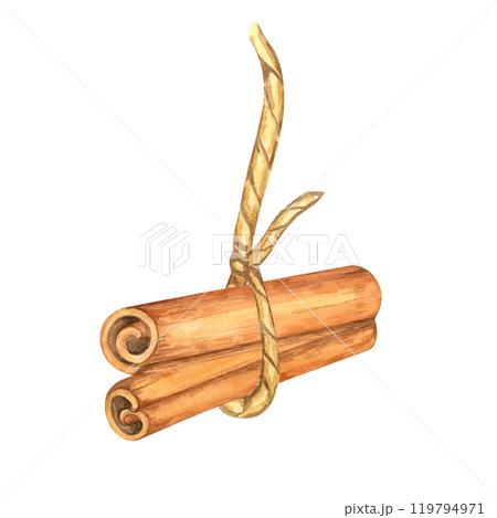 Two cinnamon sticks tied with a rustic string. Spice for baking. Isolated watercolor clipart. Suitable for food packaging, spice product branding, or eco-friendly merchandise designs 119794971