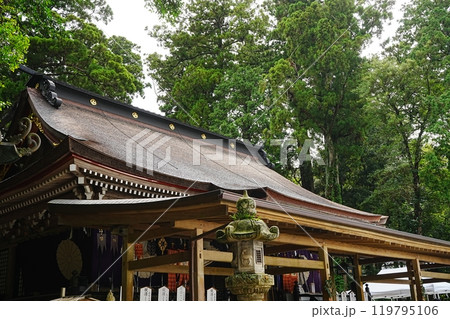 日本 茨城県 鹿島神宮 拝殿 本殿 日本 茨城県 鹿島神宮 拝殿 本殿 119795106