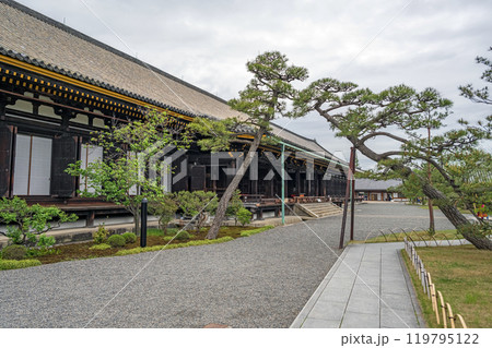 京都 三十三間堂（国宝） 119795122