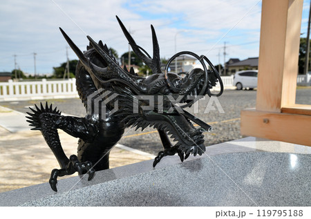 埼玉県行田市下中条　美しい治子神社　手水舎の龍 119795188