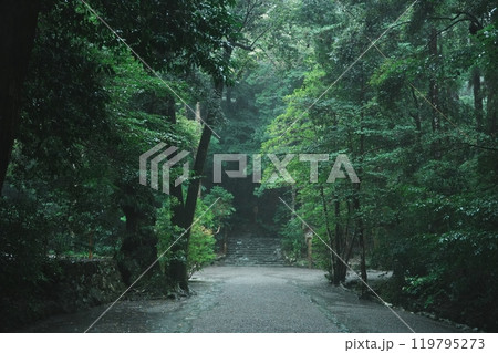 雨の伊勢神宮外宮　多賀宮の参道 119795273