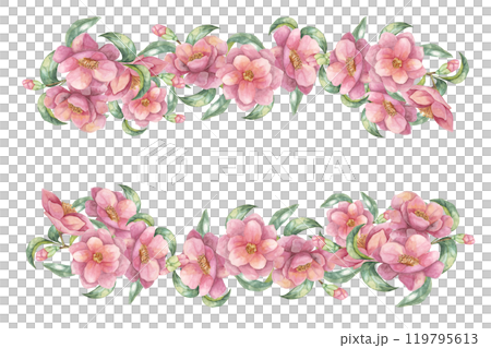 Arrangement of pink camellia flowers and green leaves forming a rectangular frame. Watercolor clipart with two floral borders for decorating invitations, announcements, or packaging Arrangement of pink camellia flowers and green leaves forming a rectangular frame. Watercolor clipart with two floral borders for decorating invitations, announcements, or packaging 119795613