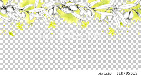A horizontally oriented pencil drawing clipart of an olive branch with soft touches of yellow watercolor. Seamless border Ideal for adding a natural element to product packaging, website headers A horizontally oriented pencil drawing clipart of an olive branch with soft touches of yellow watercolor. Seamless border Ideal for adding a natural element to product packaging, website headers 119795615