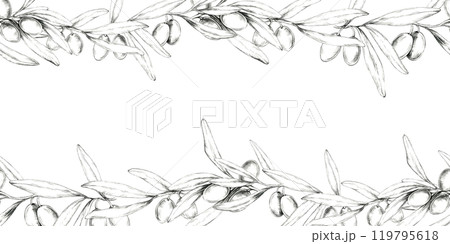 A refined pencil drawing clipart of a horizontally extended olive branch. Seamless border Perfect for use in product packaging, website headers, or as a decorative element in print and digital designs 119795618
