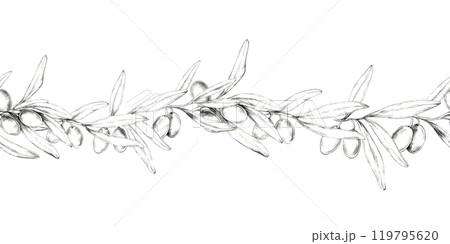 Olive branch with multiple olives and leaves. Horizontally oriented seamless border. Pencil drawing clipart. Ideal for use in website banners, product packaging, or as a repeatable pattern in textile Olive branch with multiple olives and leaves. Horizontally oriented seamless border. Pencil drawing clipart. Ideal for use in website banners, product packaging, or as a repeatable pattern in textile 119795620