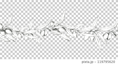 Olive branch with multiple olives and leaves. Horizontally oriented seamless border. Pencil drawing clipart. Ideal for use in website banners, product packaging, or as a repeatable pattern in textile Olive branch with multiple olives and leaves. Horizontally oriented seamless border. Pencil drawing clipart. Ideal for use in website banners, product packaging, or as a repeatable pattern in textile 119795620