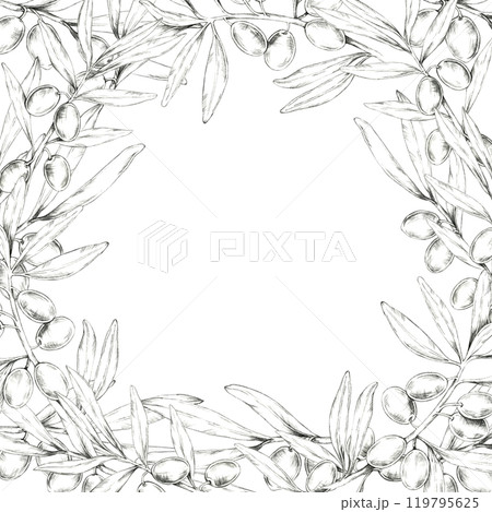 A detailed pencil drawing clipart of olive branches forming a square border. Perfect for use in creating frames, borders for invitations, packaging design, or merchandise with natural element A detailed pencil drawing clipart of olive branches forming a square border. Perfect for use in creating frames, borders for invitations, packaging design, or merchandise with natural element 119795625