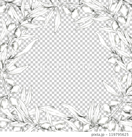 A detailed pencil drawing clipart of olive branches forming a square border. Perfect for use in creating frames, borders for invitations, packaging design, or merchandise with natural element A detailed pencil drawing clipart of olive branches forming a square border. Perfect for use in creating frames, borders for invitations, packaging design, or merchandise with natural element 119795625