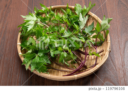 大和当帰の葉 119796108