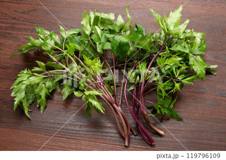 大和当帰の葉 119796109