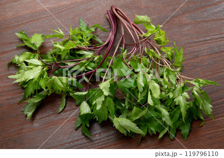 大和当帰の葉 119796110