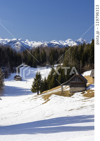 Typical wooden log cabins in Gorjuse, Triglavski national park, Slovenia 119796313
