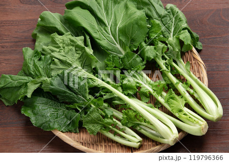 大和まな、奈良県在来の葉物野菜 119796366