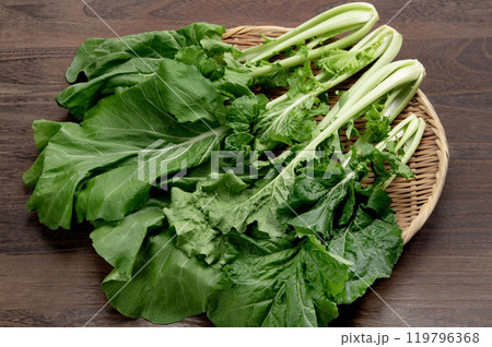 大和まな、奈良県在来の葉物野菜 大和まな、奈良県在来の葉物野菜 119796368