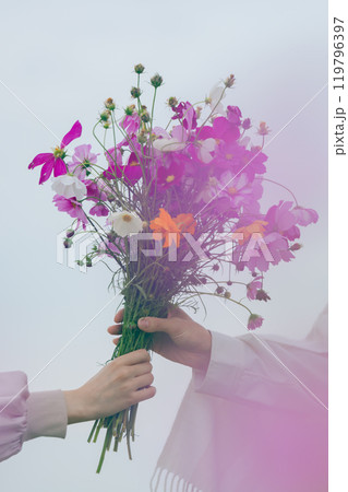 埼玉のコスモス畑 119796397