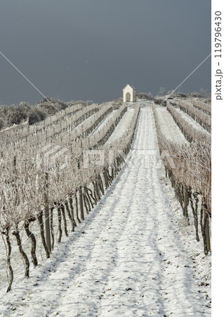 Calvary near Hnanice, Znojmo region, Southern Moravia, Czech Republic 119796430