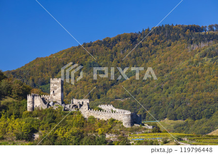 Hinterhaus castle ruins (Ruine Hinterhaus), Spitz, Wachau, UNESCO site, Lower Austria, Austria 119796448