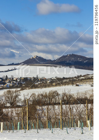 Landscape with vineyards, Slovacko, Southern Moravia, Czech Republic 119796456