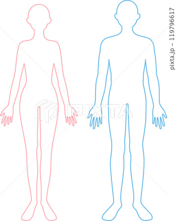 女性と男性　線画　全身 119796617