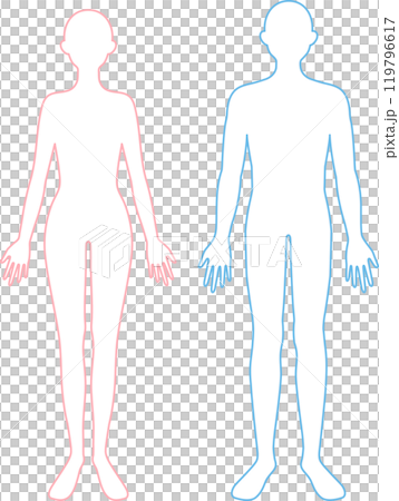 女性と男性　線画　全身 119796617