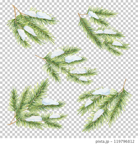 A collection of green spruce twigs with patches of snow. Fir, pine, cedar branches set. Isolated watercolor clipart for creating festive patterns, winter-themed designs, holiday stationery 119796812