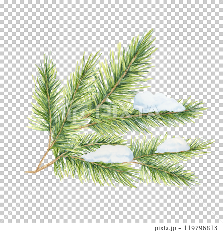 A green spruce branch with thick needles, covered with snow. Fir, cedar, pine watercolor twig. Isolated clipart for winter-themed designs, holiday stationery, festive decorations, or seasonal labels A green spruce branch with thick needles, covered with snow. Fir, cedar, pine watercolor twig. Isolated clipart for winter-themed designs, holiday stationery, festive decorations, or seasonal labels 119796813