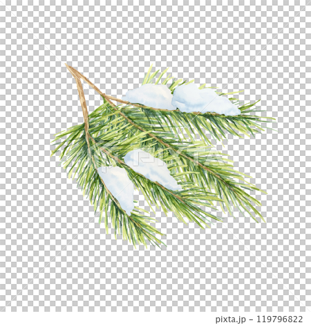 A green spruce branch with fine needles and a touch of snow, Fir, cedar, pine watercolor twig. Isolated clipart for winter event invitations, holiday gift wrap, or festive home decor patterns A green spruce branch with fine needles and a touch of snow, Fir, cedar, pine watercolor twig. Isolated clipart for winter event invitations, holiday gift wrap, or festive home decor patterns 119796822