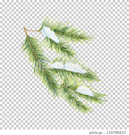 A green spruce branch with thick needles, covered with snow. Fir, cedar, pine watercolor twig. Isolated clipart Perfect for holiday-themed merchandise, Christmas cards, or winter decorations A green spruce branch with thick needles, covered with snow. Fir, cedar, pine watercolor twig. Isolated clipart Perfect for holiday-themed merchandise, Christmas cards, or winter decorations 119796823