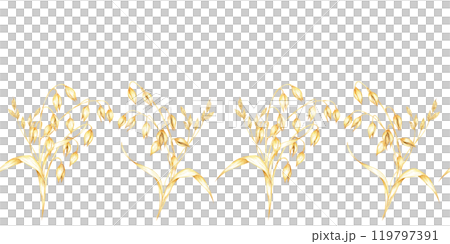 Oat stalk with golden-yellow oat grains and herbs. Avena sativa seamless border. Watercolor clipart for use in natural health product branding, rustic textiles, or artisanal merchandise 119797391