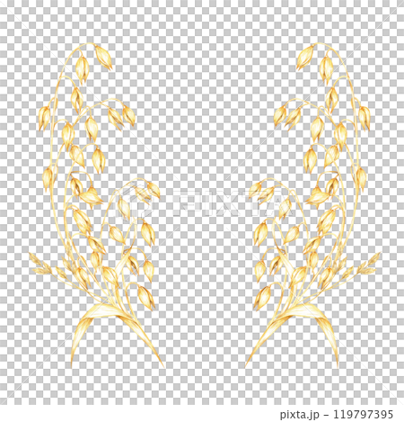 Oat stalks with golden-yellow oat grains and herb leaves. Avena sativa composition. Watercolor clipart for use in natural health product branding, herbal remedy packaging, or artisanal merchandise Oat stalks with golden-yellow oat grains and herb leaves. Avena sativa composition. Watercolor clipart for use in natural health product branding, herbal remedy packaging, or artisanal merchandise 119797395