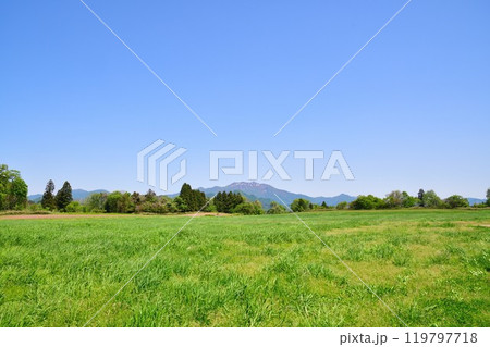 楢山エリア 粟ヶ岳(新潟県) 楢山エリア 粟ヶ岳(新潟県) 119797718