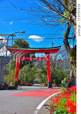 《岐阜県》池田町 熊野神社鳥居と彼岸花 《岐阜県》池田町 熊野神社鳥居と彼岸花 119797819