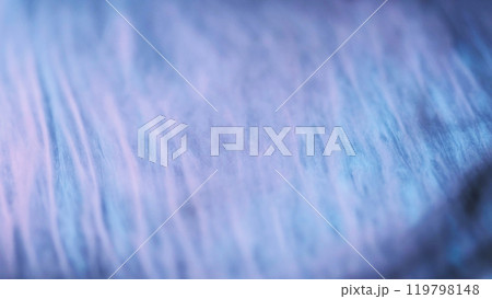 Defocused glitter. Paint background. Purple blue color shimmering glowing texture ink water mix flow decorative abstract art. 119798148