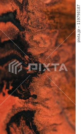Shiny paint. Ink background. Sparkling texture. Orange shimmering tiger color mixing black liquid wave glowing abstract blur art. Shiny paint. Ink background. Sparkling texture. Orange shimmering tiger color mixing black liquid wave glowing abstract blur art. 119798187