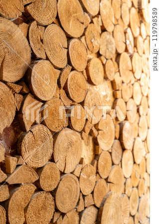 Wooden beams in cross-section. Tree firewood saw cut. Wood background 119798589