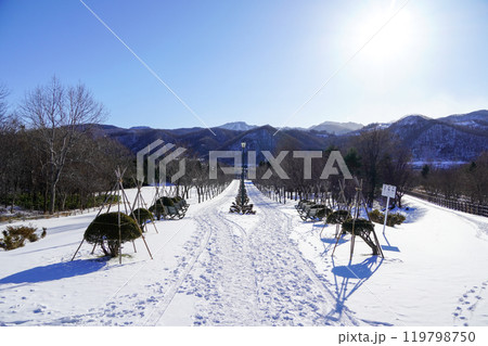 星観緑地から手稲山を見て 119798750