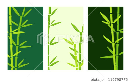 Web banner for social media mobile apps, organic design with bamboo grass. Eco trend. Stylish social media Stories. Editable vector templates with copy space for text 119798776