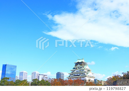 大阪府大阪市、大阪城の風景 大阪府大阪市、大阪城の風景 119798827