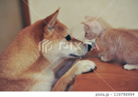 よろしくね よろしくね 119798994