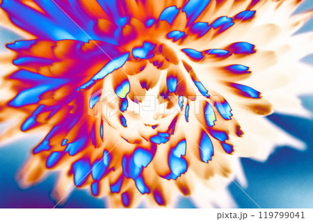 Macro closeup of fractal flower, digital artwork for creative graphic design 119799041