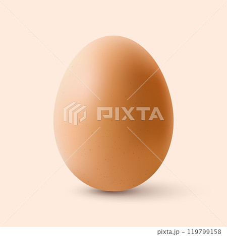Chicken Egg Chicken Egg 119799158